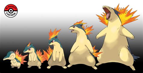 Cyndaquil Evolution Chart With Names