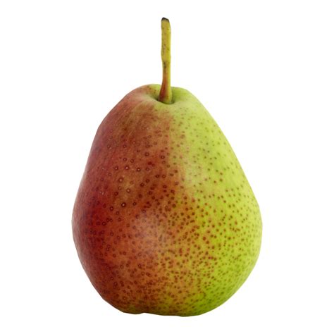 Forelle Pears: Explore Facts About This Popular Pear | USA Pears