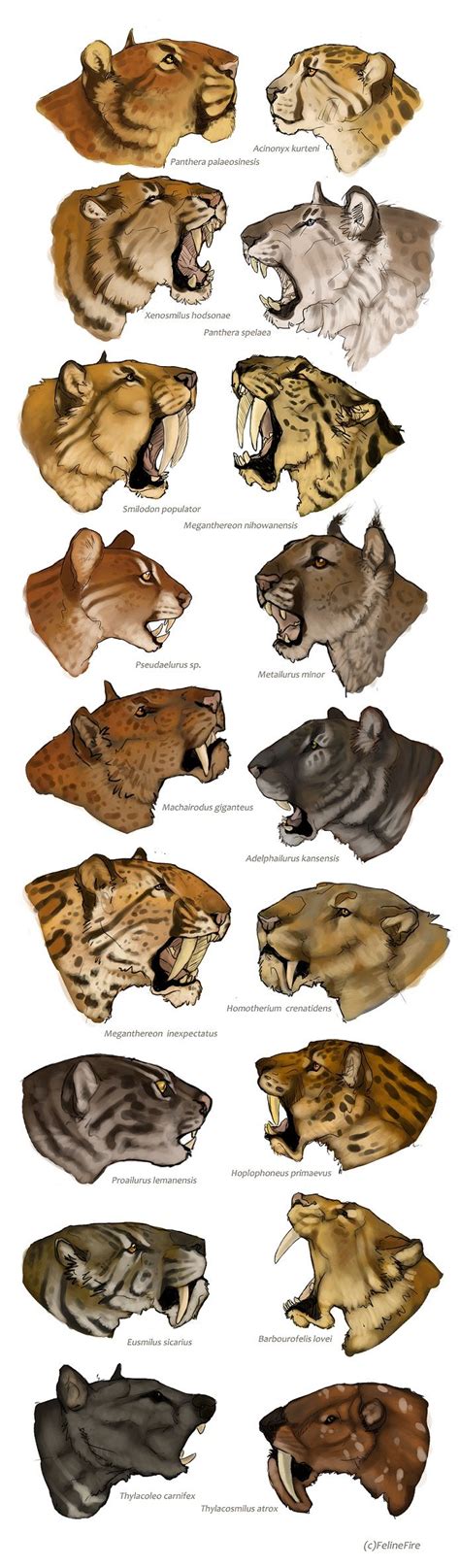 Evolution by FelineFire on deviantART | Prehistoric animals, Ancient animals, Extinct animals