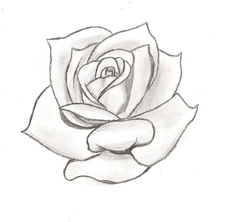 Rose Stencil Cake Ideas And Designs | Roses drawing, Rose tattoo ...