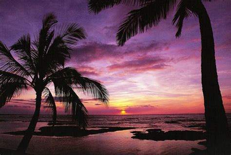 Purple Sunset - Kona, Hawaii - original Plan to see it in August! | Oceania, Sfondi