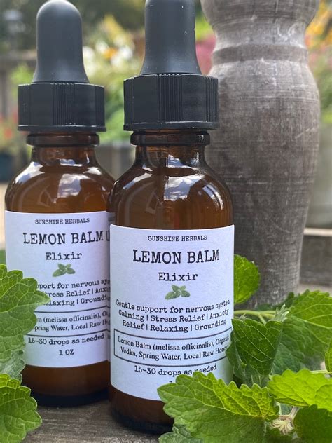 Lemon Balm Elixir Stress Relief Anxiety Relief Calming | Etsy