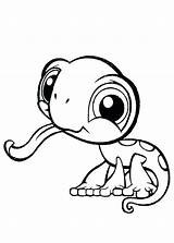 Leopard Gecko Coloring Pages At GetColoringscom  Free printable sketch template