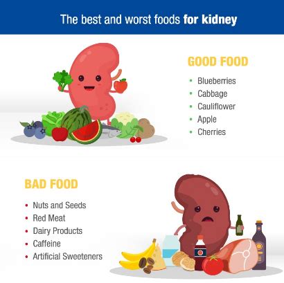 Foods and Drinks to Maintain Your Kidneys' Health - Dr Lal PathLabs Blog