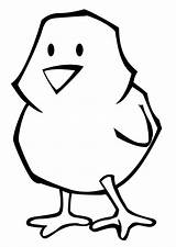 Easter Chick Coloring Pages Drawing Baby Chicken Printable Cute Chicks  sketch template
