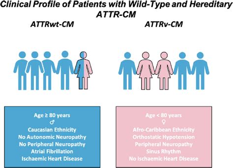 Profile of patients with variant transthyretin amyloid cardiomyopathy ...