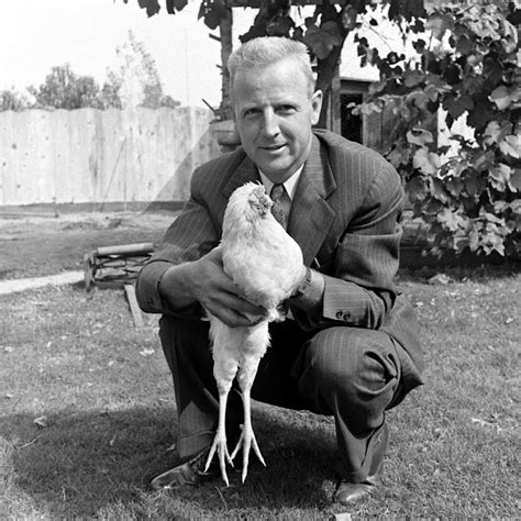 Miracle Mike: The Story of the Chicken That Lived for 18 Months Without a Head ~ Vintage Everyday