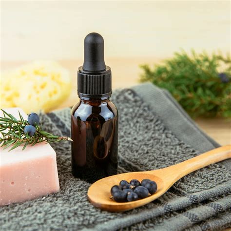 Juniper Berry Essential Oil at Rs 1700/kg | Natural Essential Oil in ...