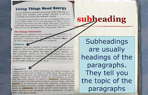 What is a Subheading & How To Write It? Complete Guide - EY (EverYoung) Media