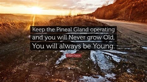 Edgar Cayce Quote: “Keep the Pineal Gland operating and you will Never grow Old, You will always ...