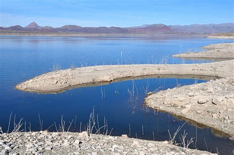 10 Reasons You Should Visit Alamo Lake State Park