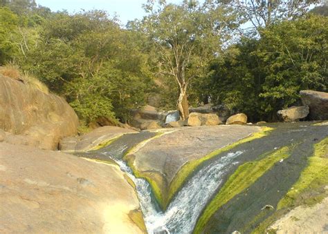 Tamilnadu Tourism: Javadi Hills – Trekking