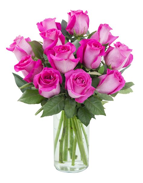 Arabella Farm Direct Bouquet of 12 Fresh Cut Hot Pink Roses with Free ...