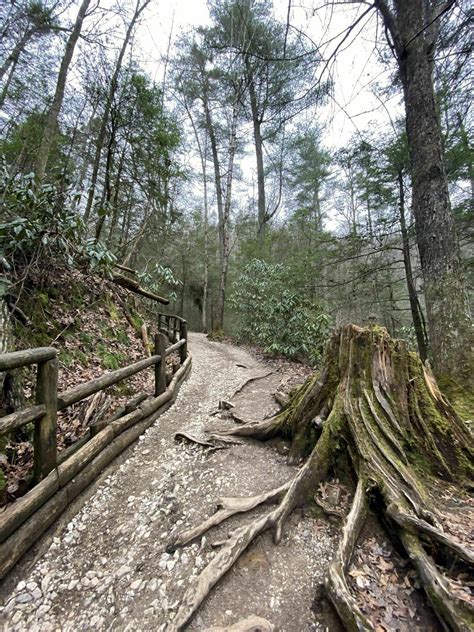 Original Natural Bridge Trail - Kentucky | AllTrails