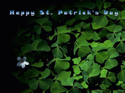 St Patrick Screensavers Wallpaper - WallpaperSafari