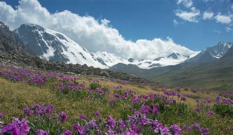 Where Are the Tian Shan Mountains? - WorldAtlas.com