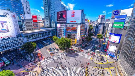 澀谷 / 東京旅遊官方網站GO TOKYO