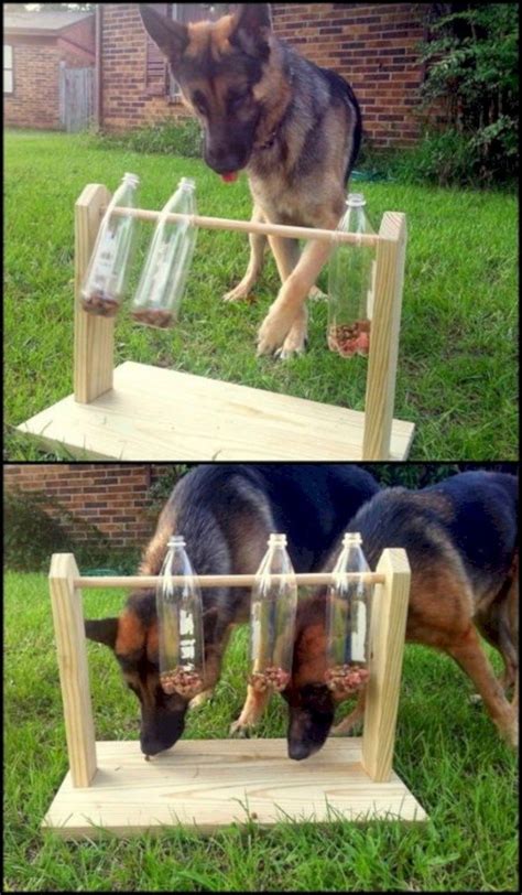 15 Easy DIY Ideas with Plastic Bottle - GODIYGO.COM | Dog playground, Outdoor dog toys, Dogs