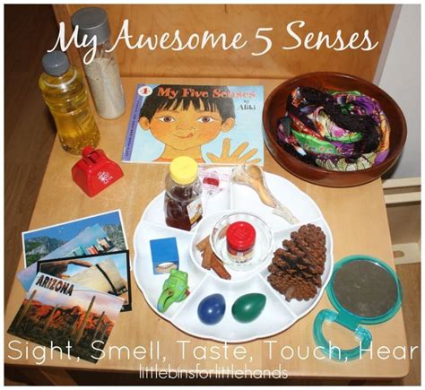 Resultado de imagen para 5 senses reggio emilia | 5 senses activities, Senses activities, Five ...