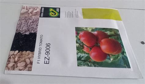 Green Enza Zaden 9006 Hybrid Tomato Seed, Packaging Type: Packet, Packaging Size: 10gm at Rs 350 ...