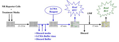 Luminescent Cell Viability Assay Kits | INDIGO Biosciences