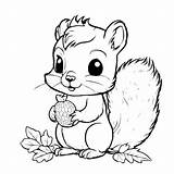 Download Cute Cartoon Squirrel Holding Acorn Coloring Pages Online  sketch template