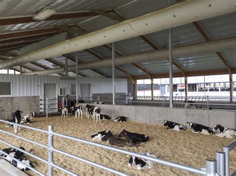 7 tips for designing the right calf barn | Ag Proud