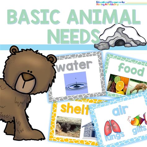 Teaching Basic Needs Of Animals