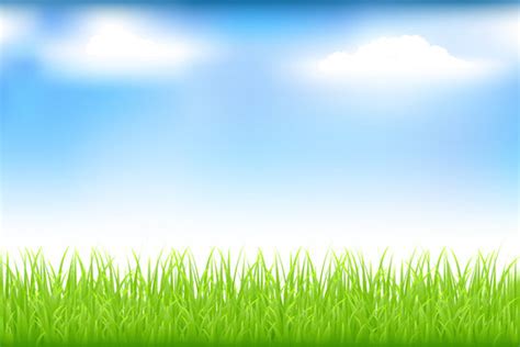 Grass Clipart Background