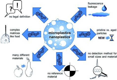 Micro- and nanoplastics – current state of knowledge with the focus on oral uptake and toxicity ...