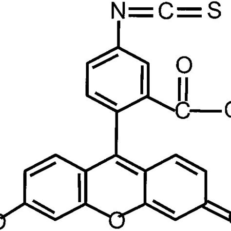 Schematic diagram of the chemical structure of fluorescein ...