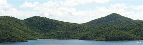 Virgin Islands Coral Reef National Monument | National Park Service Sites