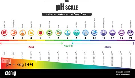 The pH scale Universal Indicator pH Color Chart diagram acidic alkaline values common substances ...