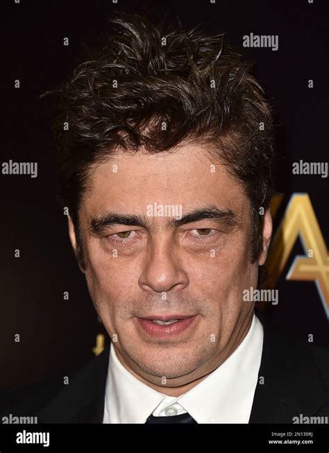 Benicio Del Toro, winner of the Hollywood supporting actor award for "Sicario," poses in the ...