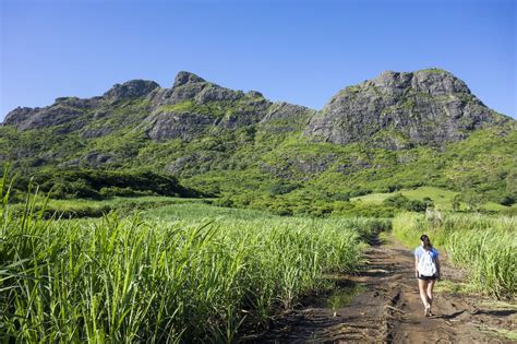 The Best Things to Do in Mauritius, From Scuba Diving to Hiking