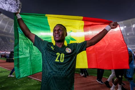 Africa Cup of Nations 2022 Wallpapers (17 images) - WallpaperCat