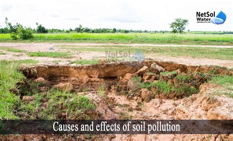 What are the main Causes and effects of soil pollution