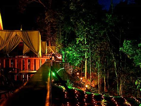 Top 12 Glamping Places near Genting Highlands - Line's Guide