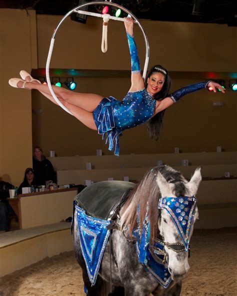 Experience the Dancing Horses show just 10 minutes away from The Abbey ...