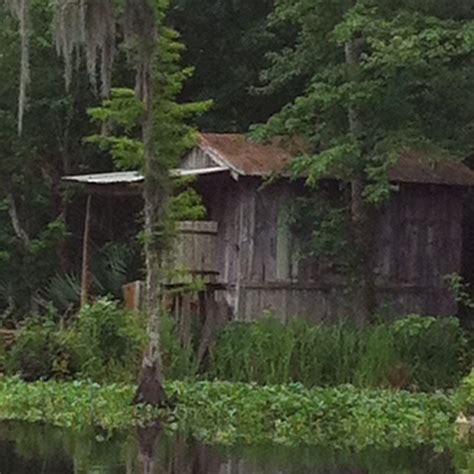 The bayou | Louisiana swamp, Louisiana bayou, Swampland