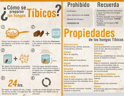 hongos tibicos Healthy Facts, Healthy Gut, Healthy Drinks, Healty ...