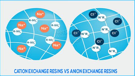 What is the difference between anion exchange and cation exchange resin