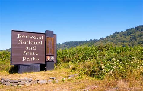 A Guide to Redwood National Park | RVshare.com