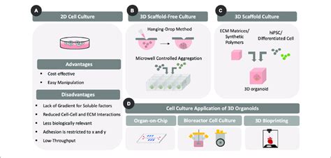 | Different types of cell culture formats. Differences between 2D and... | Download Scientific ...