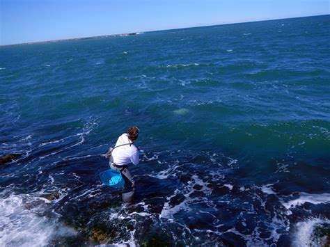 Port Aransas South Texas Jetty Fly Fishing - Kenjo Fly Fishing Charters