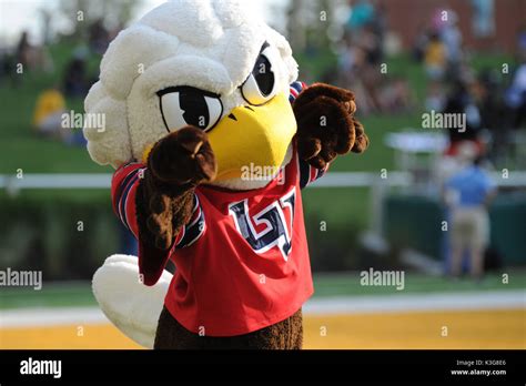 Football Mascot 2017 High Resolution Stock Photography and Images - Alamy