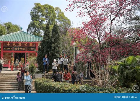 A Kwan Kung Pavilion, the Landscape of Temple 23 Feb 2013 Editorial Stock Image - Image of ...