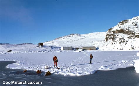 Thumbnails - Antarctic Ice Dive - Free use pictures of Antarctica