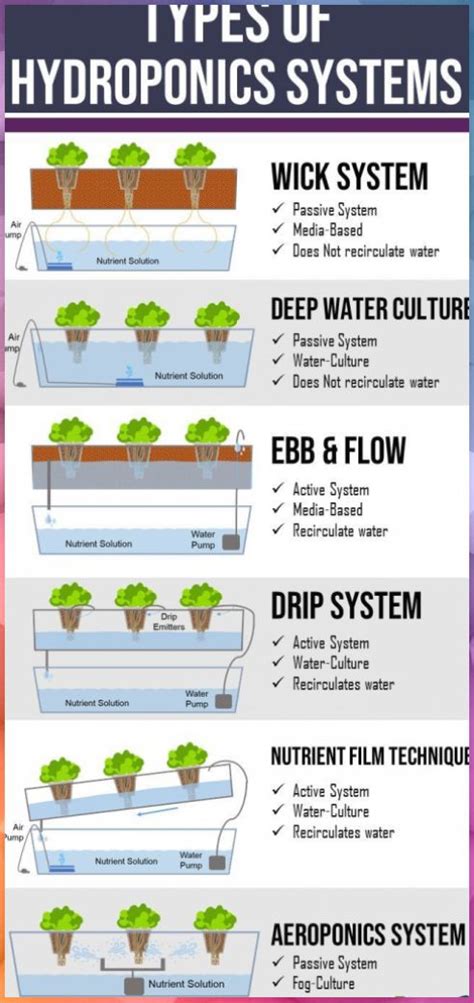 How does another hydroponic system work? [Pros & Cons] Informations ...