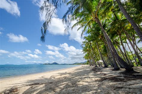 Palm Cove beach images